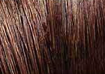 Remy Clip-In Hair Extensions - Yaki